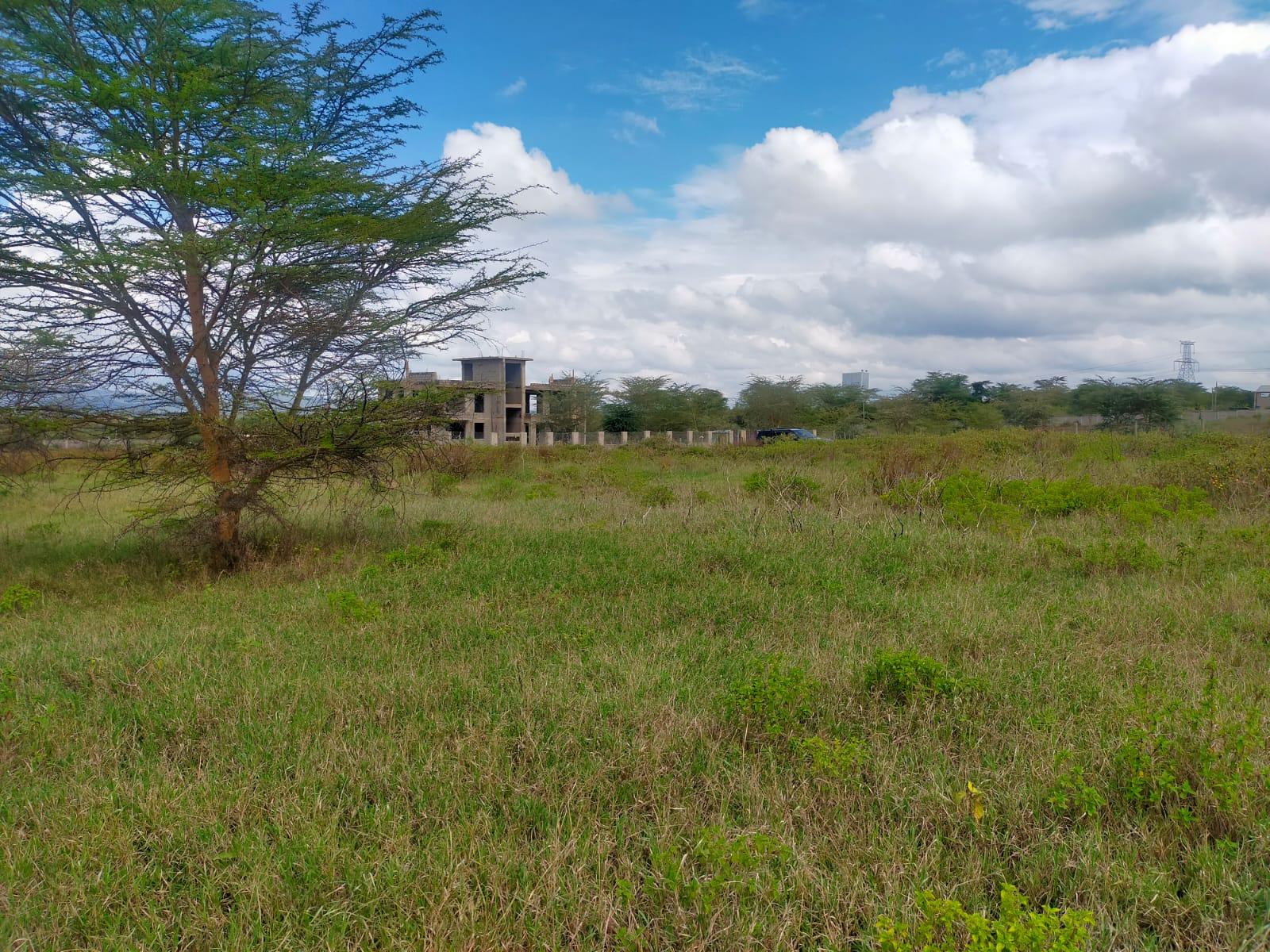 0.5 acre Land For Sale at 9 Million in Naivasha, Nakuru Image
