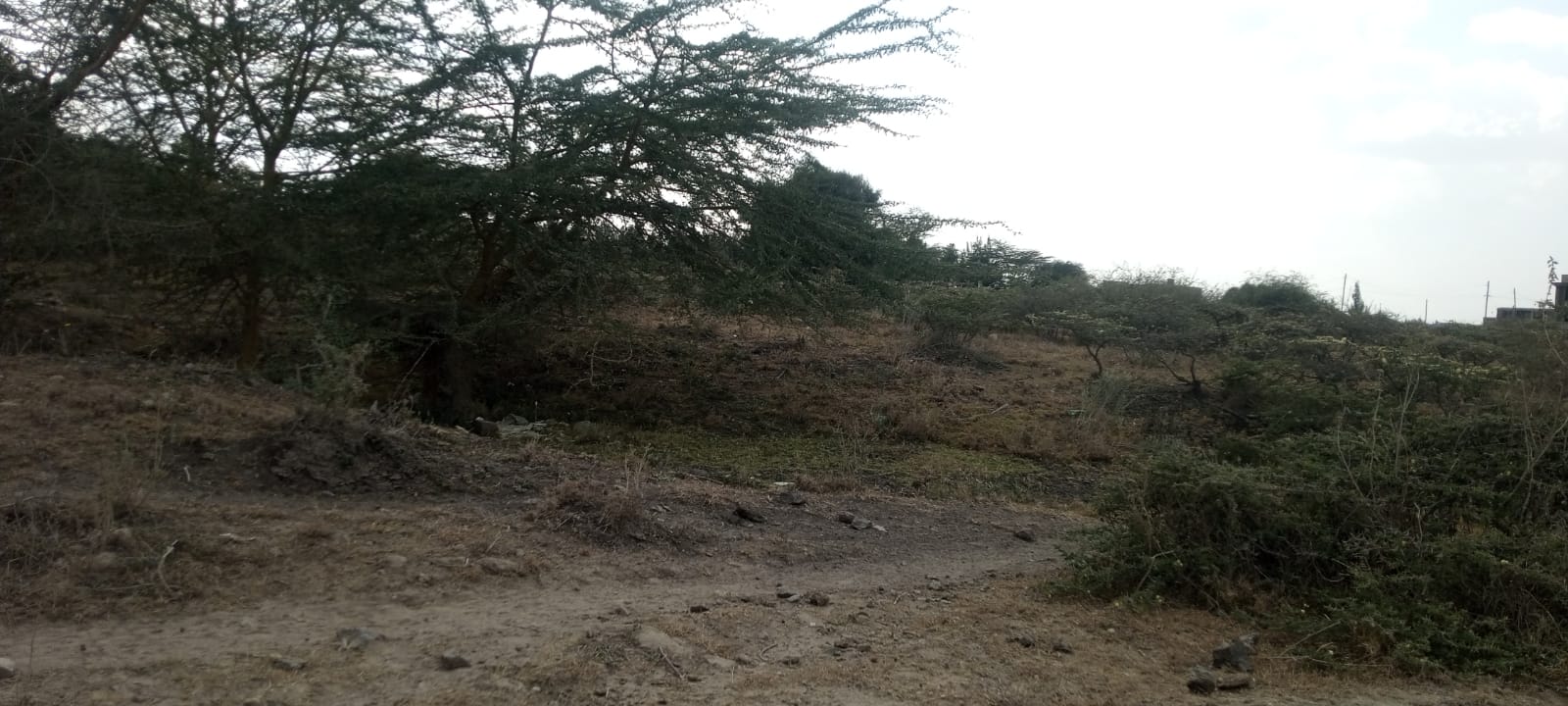 50 by 100 Land For Sale in Kitengela, Kajiado Image