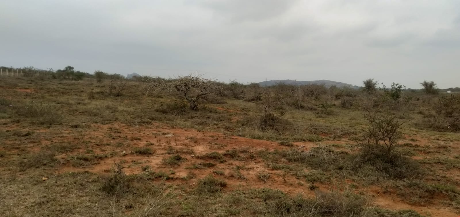 8000 acre Land For Sale  at 400000 Kenyan shillings per Acre in Rumuruti, Laikipia Photos