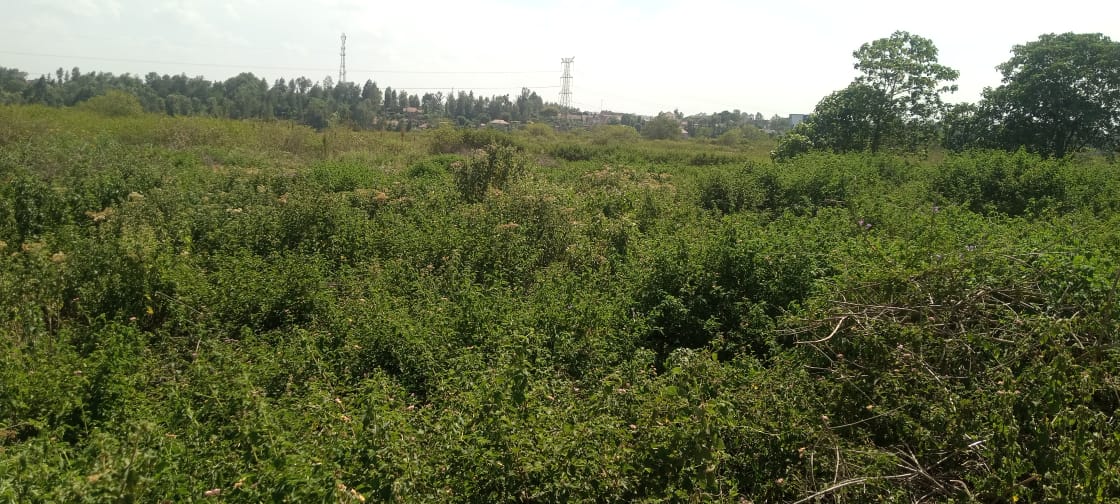 10 acre Land For Sale  each acre going for 120 Million in Tatu City, Kiambu Image